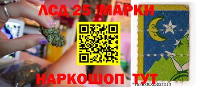 стаф Можга