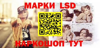 стаф Можга