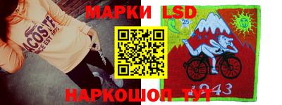 стаф Можга