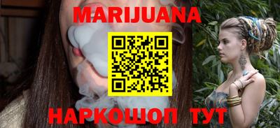 стаф Можга