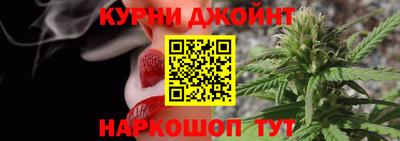 стаф Можга