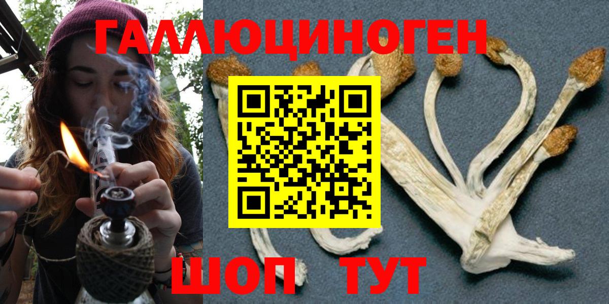 Галлюциногенные грибы ЛСД Губкин