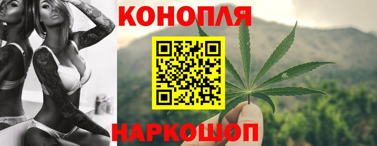 Бошки Шишки Ganja  Вход с VPN  Бошки Шишки VHQ  Бошки Шишки планчик  Губкин  Бошки марихуана сатива 